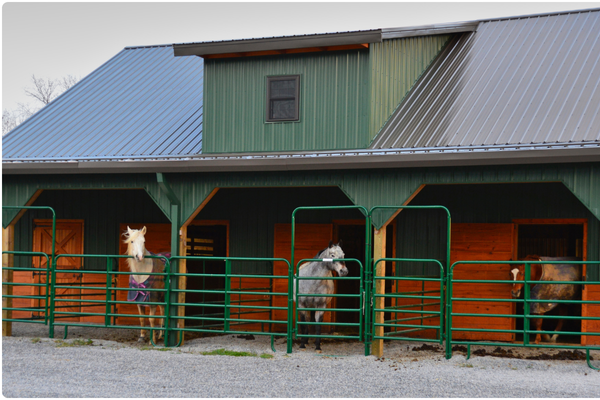 Agricultural pole buildings farm construction Delaware Maryland Virginia - horse barns livestock facilities equipment storage grain bins Eastern Shore Delmarva by Titan Buildings